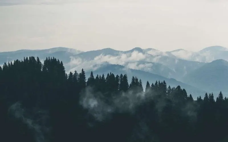 Speak To Your Mountain!
